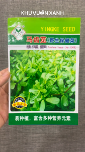 Hạt giống rau Sam - Gói 2gr khoảng 2000 hạt - Tỷ lệ nảy mầm >80% - Nội địa Trung