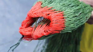 อวนล้อมไก่ รั้วตาข่าย ตะข่ายล้อมไก่ ตาข่ายล้อมไก่ ตาข่ายกันนก อวน ดาง ล้อมไก่ อเนกประสงค์ กรงไก่ เลี้ยงไก่ กันงู กันนก แ