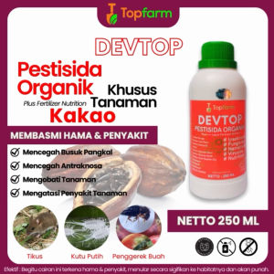 Obat Tanaman Kakao / Obat Jamur Kakao / Obat Semprot Hama Kakao / Obat Busuk Buah Kakao / Obat Hama Buah Kakao / Obat Oles Buah Kakao / Obat Hama Tanaman Kakao / Obat Penggrek Batang Kakao