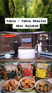 Akar BAJAKAH TAMPALA MERAH Varian 1000g Siap Seduh Obat Tumor dan Kanker Asli Kalimantan