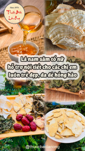 Set trà thảo mộc sâm tố nữ mix (Củ sâm nam dương sâm diệp hà thủ ô cúc mật) - Lãn Ông