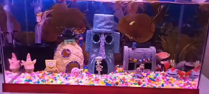 🐟10 years without water change🐠 Water Quality Clarifier Agent Aquarium Cleaner Improve water quality safely Purify the fish tank deodorize do not harm the fish Aquarium Bacteria Bio-active Nitrifying Liquid