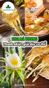 Hoa thanh long khô 1kg (Hoa bá vương thanh nhiệt) - Chợ Thảo Dược Việt