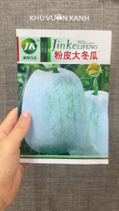 Hạt giống Bí đao phấn trắng (Bí sáp xanh thơm Bí hương phấn) - Gói khoảng 30 hạt - Nội địa Trung