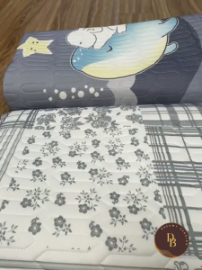 Chiếu điều hòa cao su non 5D vải lụa Tencel mát cao su non Latex mềm mịn Chiếu điều hoà mát mẻ chào hè 2024