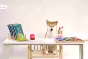 ขนมหมาเลีย Lovey แบบซอง 14 กรัม ไม่ใส่เกลือ ไม่เติมน้ำตาล