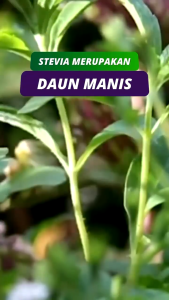 Ferswit Stevia: Pemanis Alami Daun Stevia Cair Rendah Kalori