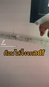 ก้อนไล่จิ้งจก ไล่จิ้งจก ก้อนไล่จิ้งจก ADF 1 ซอง มี 4 ก้อน สูตรใหม่แบบก้อน มีสินค้าให้เลือก