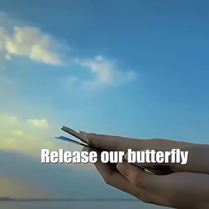 1pcs Magic Fairy Fly Flying Butterfly Wind Up Butterfly Flying Out from Books Dreamy Suprising Gifts Children Birthday