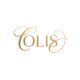 OLIS  Accessories
