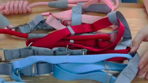 Dây dắt chó mèo màu sắc macaron (Không kèm vòng cổ yếm ngực) mẫu mới - Love Pets Shop