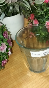 CHOBIG Gelas Kaca 180ml Bening Classic Glass Polos Gelas Teh Kecil 608