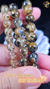 Collection Grade Titanium Bird Nest Gold Rutilated Bracelet