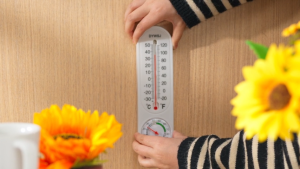 Outdoor & Indoor Thermometer Hygrometer with ℃/℉ Wireless Wall Thermometer