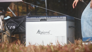 Alpicool C30 C40 C50 Portable Compressor Mini Refrigerator,DC 12V24V Car Fridges,220V Household refrigerator