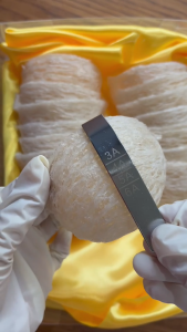 PAUS BIRDNEST รังนก 6A รังแต่งเกรดพิเศษ ไซส์จัมโบ้ ขนาด 100 กรัม รังนกคัดสะอาด พร้อมตุ๋น