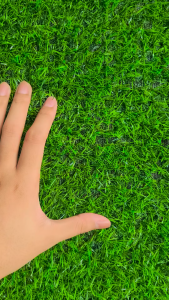 หญ้าเทียมตกแต่งแบบยกม้วน 2 CM. แต่งร้าน แต่งบ้าน กึ่งร่ม วัสดุPE ขนหญ้ายาว 2 ซม. [ยกม้วนคุ้มกว่า]