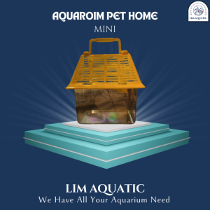 Aquarium Pet Home Mini: Rumah Mini Kura Kura