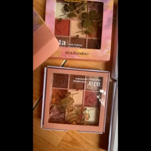 Phấn mắt chín màu flash bột màu ngọc trai ngũ sắc cute