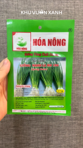 Hạt giống Hành lá gói 1gr - Tỉ lệ nảy mầm >90% năng suất cao