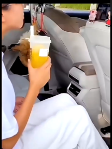 Holder Headrest Karakter Lucu & Car Hook Hanger Mobil: Aksesoris Mobil Praktis