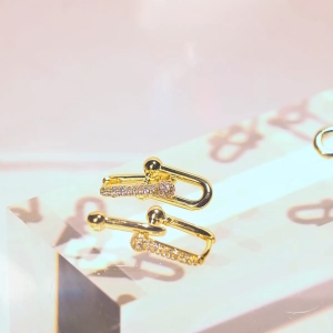 Mikana Intertwined Suzuna Gold Plated Drop Earrings for Women jewelry accessories hoop earings gift box