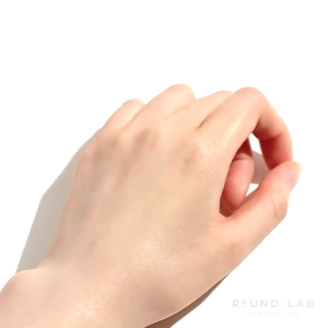 Round Lab Sunscreen 50ml /Round Lab Birch Juice Moisturizing Sun Cream Spf50+ Pa++++ Sunblock /Round Lab Sunscreen