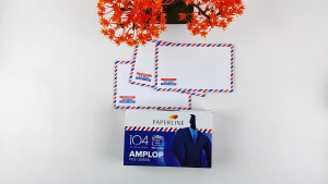 Amplop Paperline Garis 104 PPS 95x152mm 80gsm