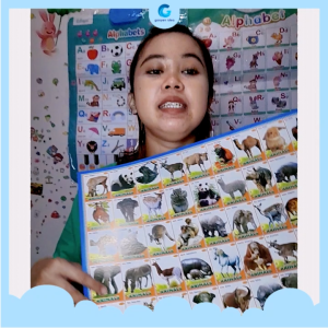 Poster Anak Belajar Hewan Isi 50 Kotak