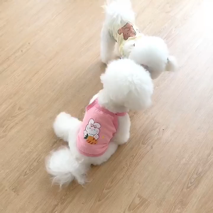 áo 2 dây in hình so cute cho chó mèo - T3 PETS SHOP