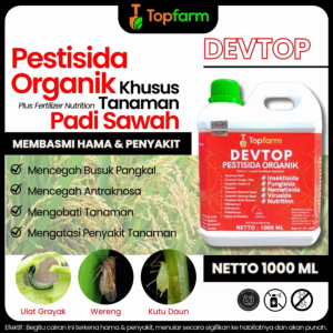 Obat Padi Sundep Paling Ampuh / Obat Padi Sawah / Obat Padi Untuk Hama Wereng / Obat Padi Daun Kuning Kerdil / Obat Padi Daun Kuning / Obat Padi Sawah Mati Pucuk / Obat Hama Khusus Padi