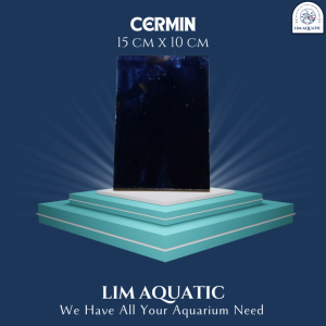 Cermin 15cm X 10cm / Cermin Jantur / Kaca Jantur / Cermin Cupang