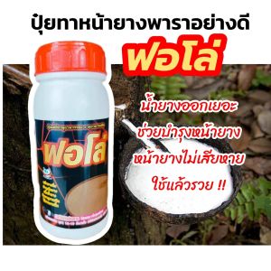 ฟอโล่จำนวน6กระปุก