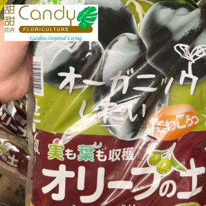 (SG Seller) Organic Soil for Olive (5L) Hanagokoro Japan Imported