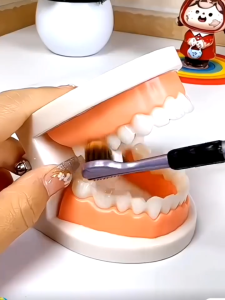 [FULLBOX] Bàn Chải Đánh Răng Đa Chiều Chải 3 Mặt Hộp 4 Chiếc Lông Mềm Đánh Bay Mọi Mảng Bám