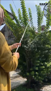 Stik Sprayer Elektrik 24 meter Stik teleskopik sprayer elektrik