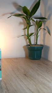 FELIX PREMIUM Bohlam Lampu LED UFO 18.5W E27 Putih 6500K Garansi 3 Tahun