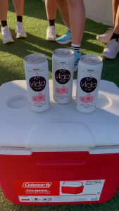 [Thùng 24 Lon] Nước Ngọt Có Ga Không Calo Vida Hương Cam Chanh Táo Vải Muối Nhập Khẩu Malaysia - 24 Lon x 325ml