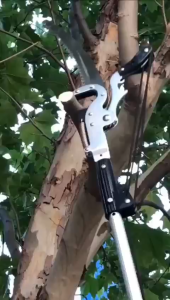 กรรไกรตัดกิ่ง พร้อม ใบเลื่อย สำหรับตัดกิ่งไม้สูง ด้ามไสลด์ได้ยาว 3.5/4 เมตร มีรอกช่วยผ่อนแรง ใบ SK5 กรรไกรตัดกิ่งด้ามยาวพร้อมเลื่อย กรรไกรตัดกิ่งสูง กรรไกรตัดกิ่งไม้สูงพร้อมด้าม