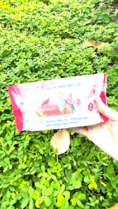 [COMBO 4 GÓI TẶNG 1 GEL SHECARE] Khăn Ướt Vệ Sinh Phụ Nữ SHE CARE