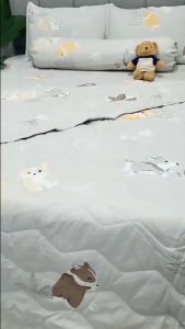 🍃ĐỦ SIZE🍃 Trọn Bộ Ga Gối Tencel Than Hoat Tính Thoáng Mát Kháng Khuẩn Bộ 4 và 5 Món Chăn Ga Gối Mềm Mát Đủ Kích Thước _ Nemtot Bedding