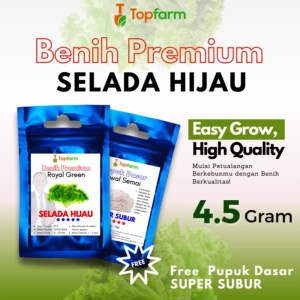 Benih Topfarm / Benih Seladah Keriting / Benih Selada Bokor / Benih Selada Hijau / Benih Selada Terbaik / Benih Selada Paling Bagus / Benih Selada Air / Benih Selada Hidroponik