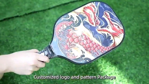 SINSHAM GT70 High-Quality Carbon Pickleball Paddle 14mm Tempered Glass Fiber Graphite Long Handle with Bag and Balls - New