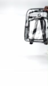 Tas Ransel Wanita Sekolah Backpack Transparan Fany BBP231101725 Naughty Accessories