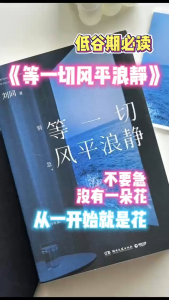 正版 等一切风平浪静 刘同○著『关于那些突然到来的低落时刻 跌落谷底再把自己托起的自救人生』
