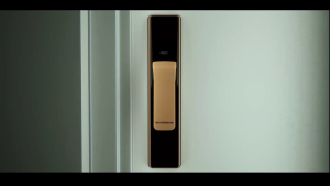 Dormakaba Push/Pull Digital Lock DP850 White Gold/Silver/Black