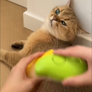TC sisir sikat uap kucing kelinci dan anjing elektrik portable hair removal R1131