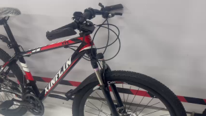 Xe đạp thể thao cho trẻ em cao cấp có giảm sóc phanh đĩa trước sau 22 inch