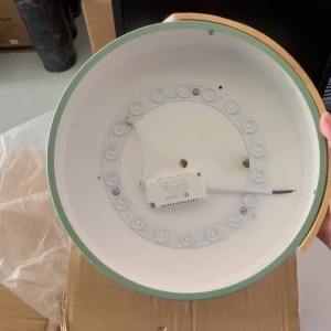 OSUKI LED 30cm Ceiling Light 18w GW77 (White Light)