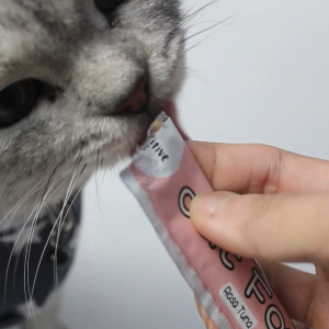 Creamy Treats Kucing Cemilan Kucing Kitten Snack Kucing Basah Cat Treats Penggemuk Kucing - Buki X Pawsitive Vibes Pet Creamy Treats Snack